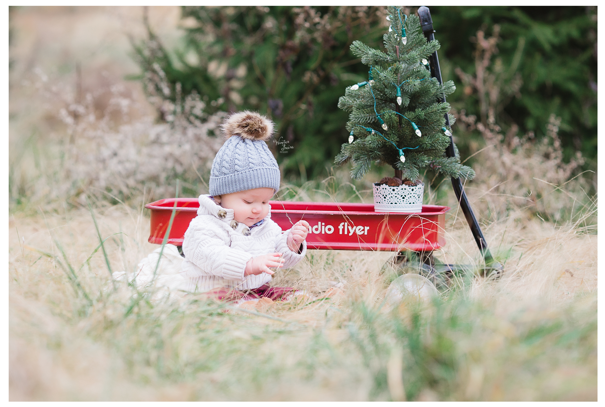 Winter Freire Photography | Milestone Session | Sweet Pure Organic Portraits | Dayton, Ohio Photography | Natural Light | Fine Art Photography | Tiny Blossom Collective