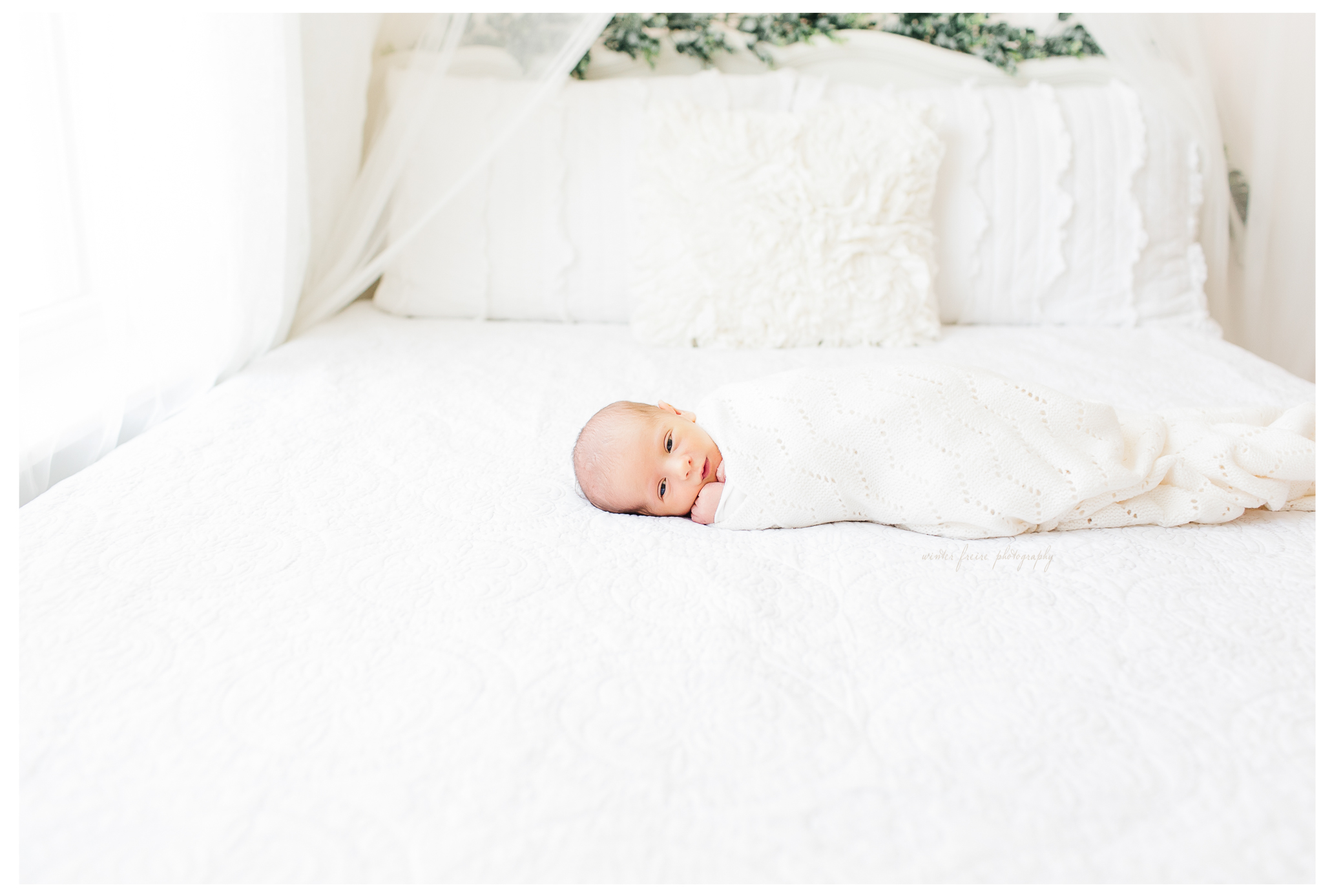 Winter Freire Photography | Newborn Session | Sweet Pure Organic Portraits | Dayton, Ohio | Natural Light | Boutique Studio | Fine Art Newborn Photography