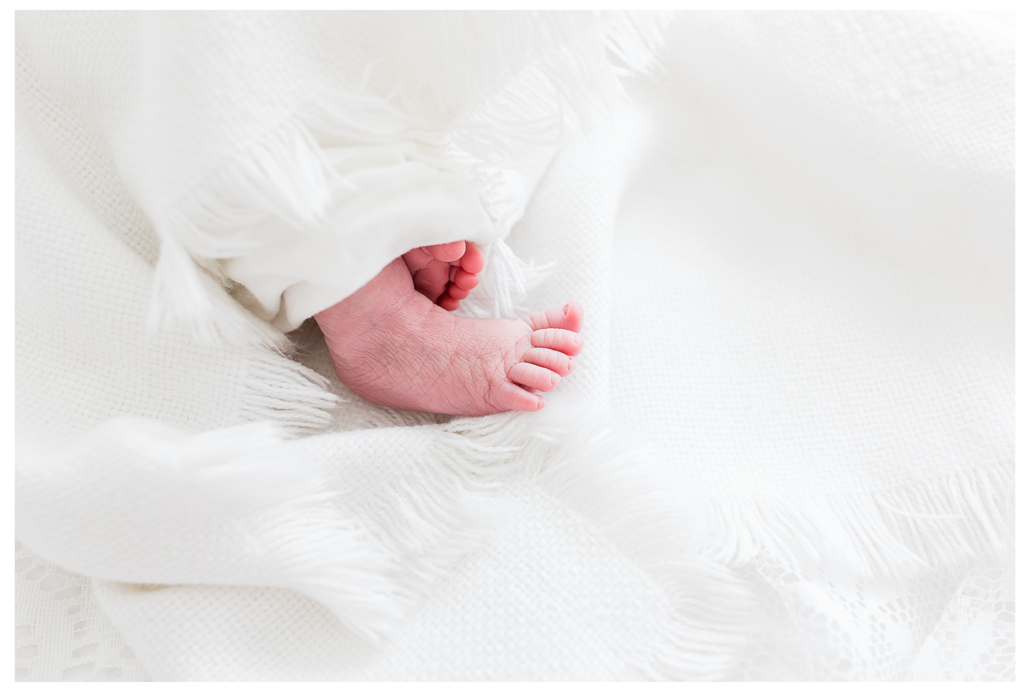 Tiny newborn feet wrapped in a white blanket