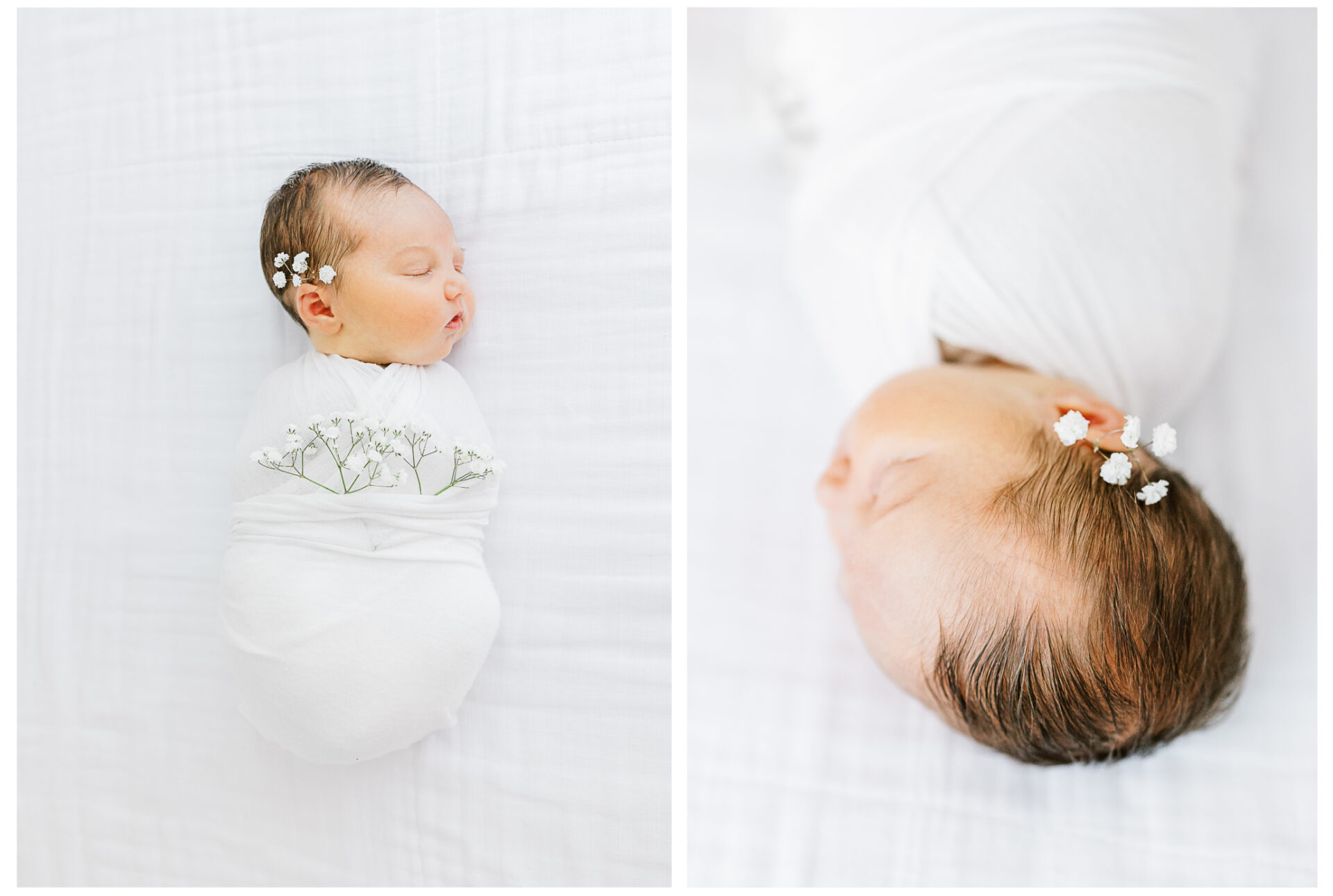 Winter Freire Photography | Dayton, Ohio Newborn Session | Newborn baby girl portraits with baby's breath