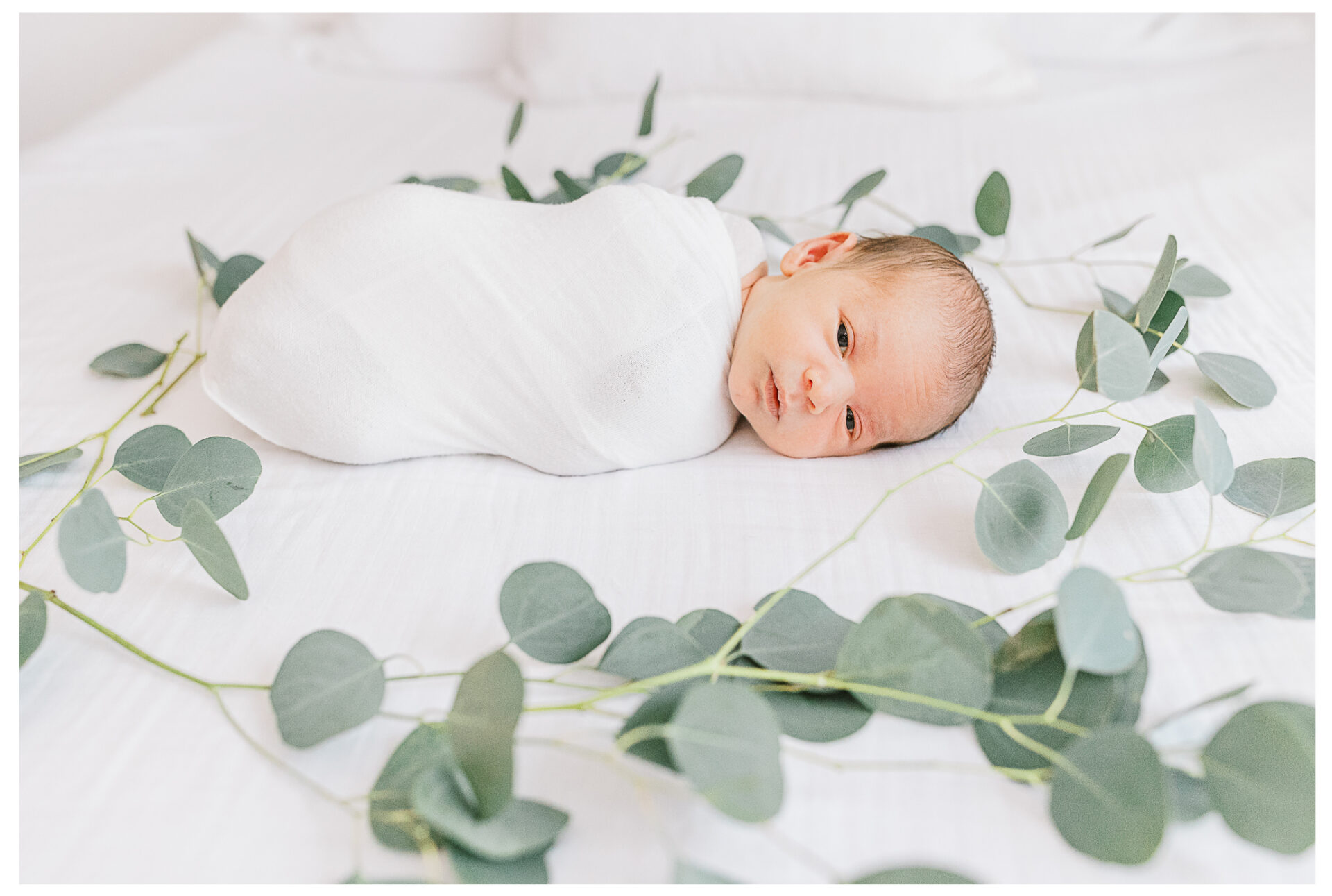 A swaddled newborn boy with eyes open as he lies beside fresh eucalyptus on a white bed.